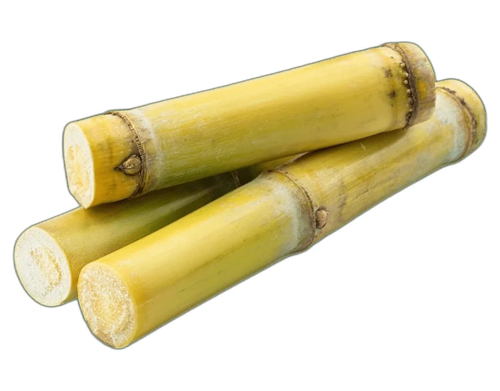 1kg Fresh Ganna (Sugarcane)