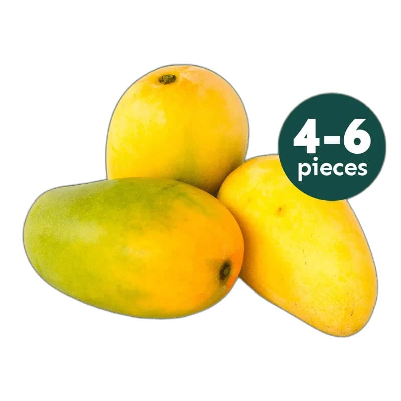 4-6St. Frische Kesar-Mango (2,7-3,2kg)