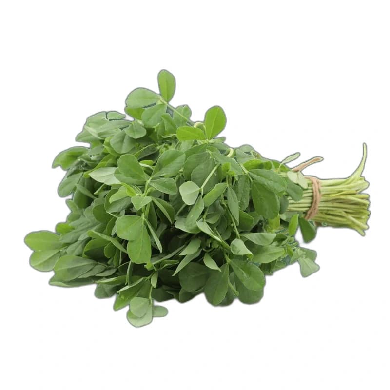 1 Bunch Fresh Methi (Fenugreek Leaves) ca.100-150g