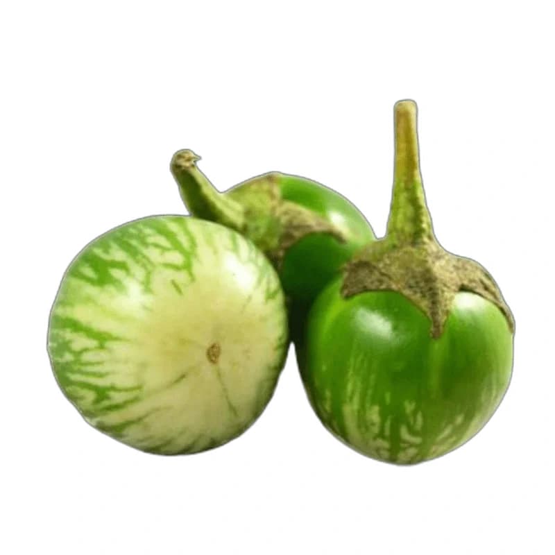 250g Fresh Aubergine (Green & Round)