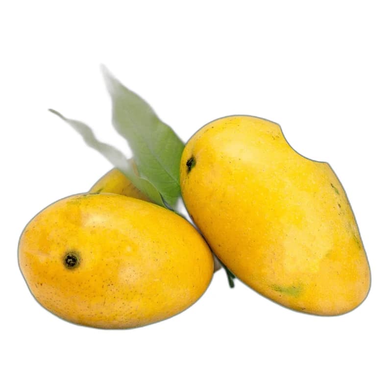 4-5pc Fresh Badami Mango (1.5-1.7kg)