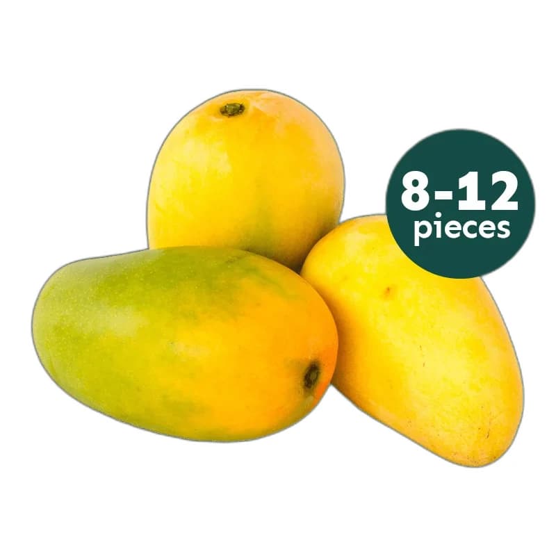 8-12pc Fresh Kesar Mango (2.7-3.2kg)
